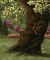 Image for Plott Creek Tree in Spring